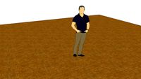 WOODEN FLOOR PARQUET