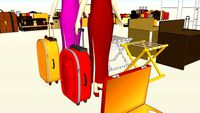 luggage props
