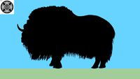Muskox Silhouette