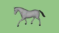 Grey Horse