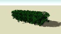 bush1