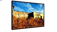 Quadro Altiplano Boliviano 3