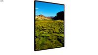 Quadro Altiplano Boliviano 2