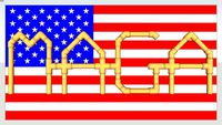 MAGA Flag