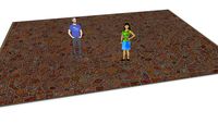 PORPHYRY STONES FLOOR CARPET WITH STONE EDGES
