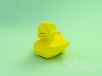 little duck
