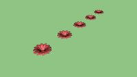 CALABRIA FLOR