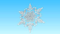 Flocon de neige