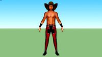 Shawn Michaels(Michael Shawn Hickenbottom)