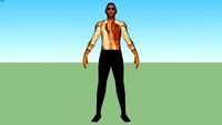The Rock(Dwayne Johnson)