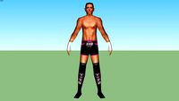 Tyson Kidd(Theodore James Wilson)