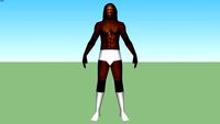 Booker T(Robert Huffman)