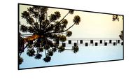 Quadro Árvore escalada com vista do céu