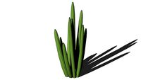 Land F/X - Shrubs - Cacti and Succulents - Cactaceae - Cactus 02