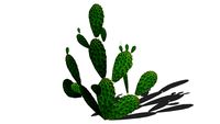 Land F/X - Shrubs - Cacti and Succulents - Cactaceae - Cactus 01 HD