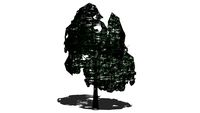 Land F/X - Tree - Generic - Columnar 07