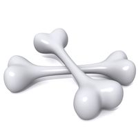 Bones 3D Model