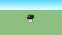 Lowcost flower with vase