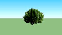 Lowcost Tree