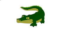 Crocodile