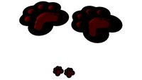 Paw Prints