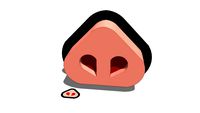 Pig Nose