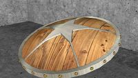Shield
