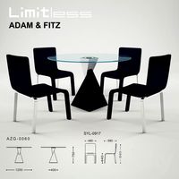 Limitless Adam+fitz