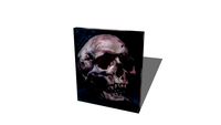 TRICK OR CHIC Collection : Skull Painting / tableau de tête de mort