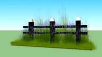 BEACH BORDER