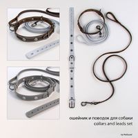 Ошейник и поводок для собак / collar and lead