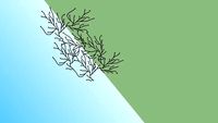 branch wall detail