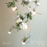 Bocci