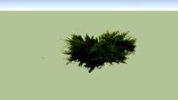 Juniperus chinensis 'Mint Julep'