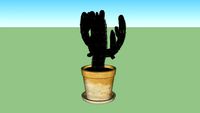 Cactus carnegiea 1