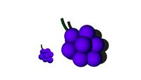Grapes
