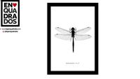 QUADRO LIBÉLULA