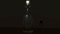 GLASS WATER BOTTLE