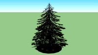 baum