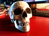 Human Skull by JamieLaing