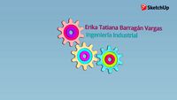 Ingeniería Industrial - Erika Barragán