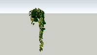 Hanging Plant GHD