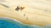 Deserted shore