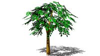 ARB