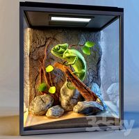 Terrarium