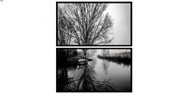 Kit 2 Quadros Árvore Inverno