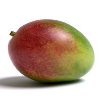 Mango 3D Model