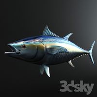 Tuna Fish