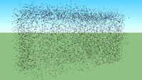 hedge