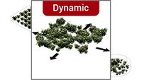 ROCKIT3D Syringa vulgaris 0.8 m white (Lilac) dynamic